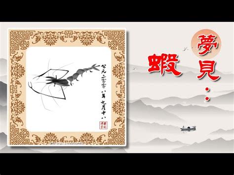 夢見蝦子號碼|夢見蝦